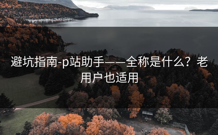 避坑指南-p站助手——全称是什么？老用户也适用
